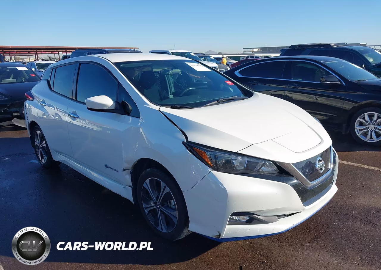 2019 Nissan Leaf Sv Plus