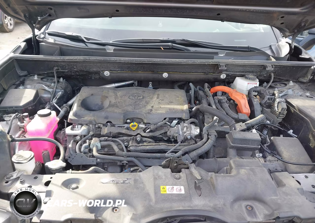 2024 Toyota Rav4 Hybrid Xle VIN:JTMRWRFV7RD272984 - 10