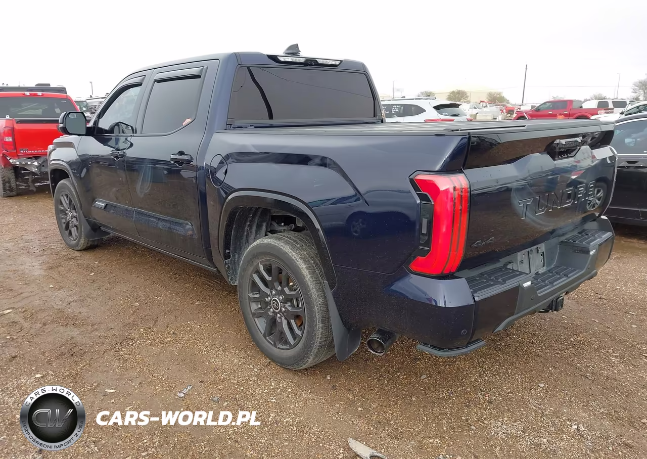 2023 Toyota Tundra Platinum VIN:5TFNA5DB1PX099974 - 3