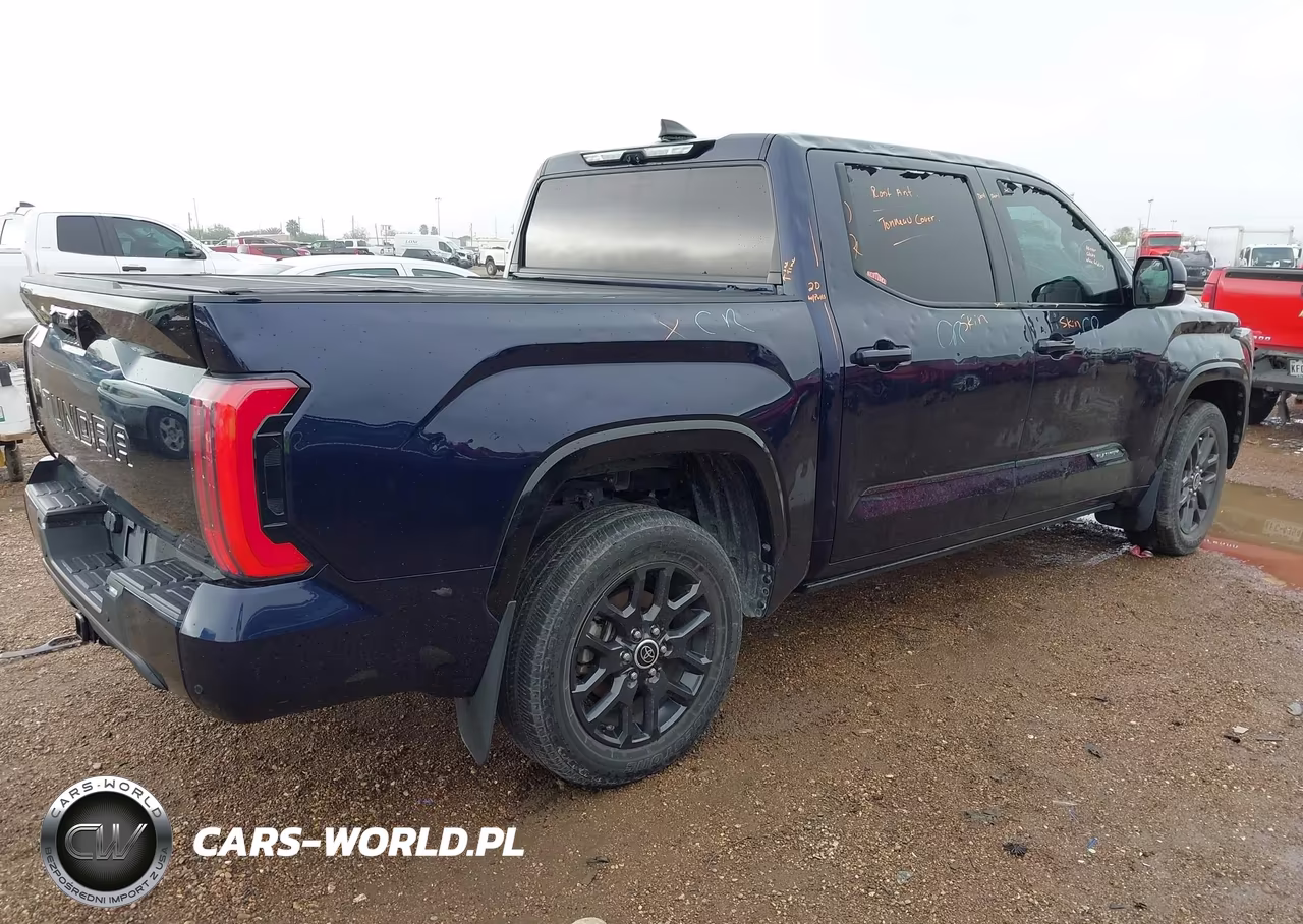 2023 Toyota Tundra Platinum VIN:5TFNA5DB1PX099974 - 4