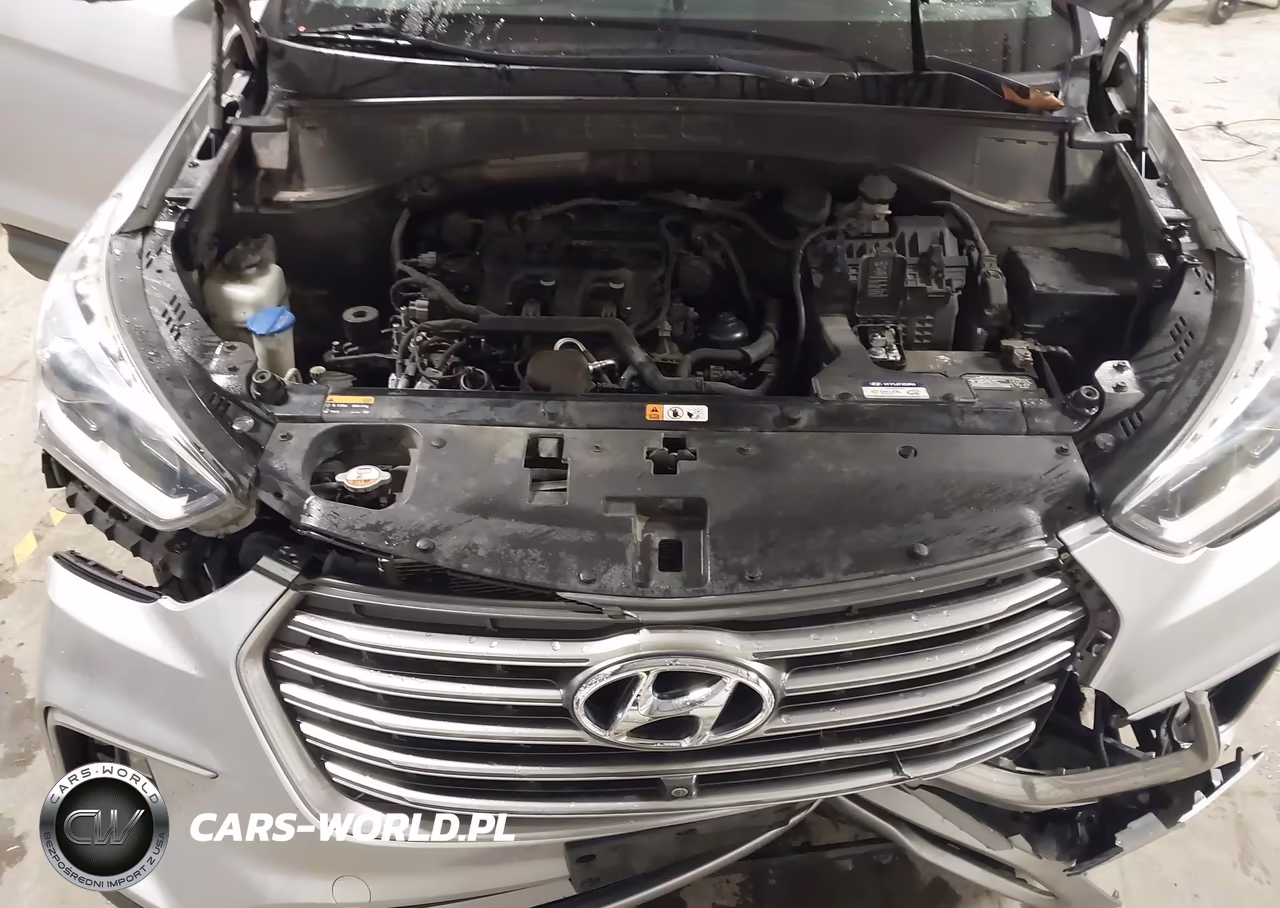 2017 Hyundai Santa Fe Se Ultimate VIN:KM8SRDHF3HU183408 - 10