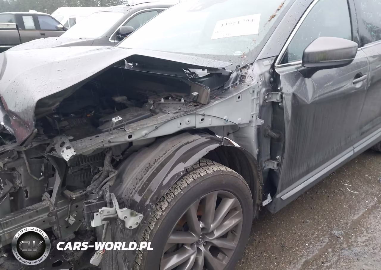 2016 Mazda Cx-9 Grand Touring VIN:JM3TCBDY5G0124394 - 19