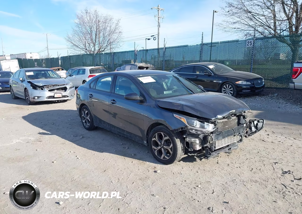 2019 Kia Forte Lxs