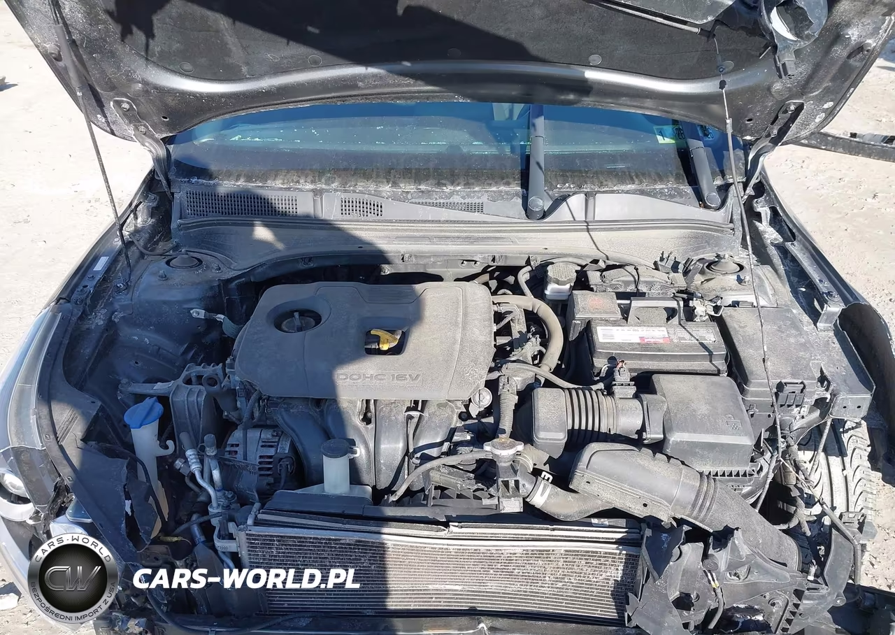 2019 Kia Forte Lxs VIN:3KPF24AD9KE030461 - 10