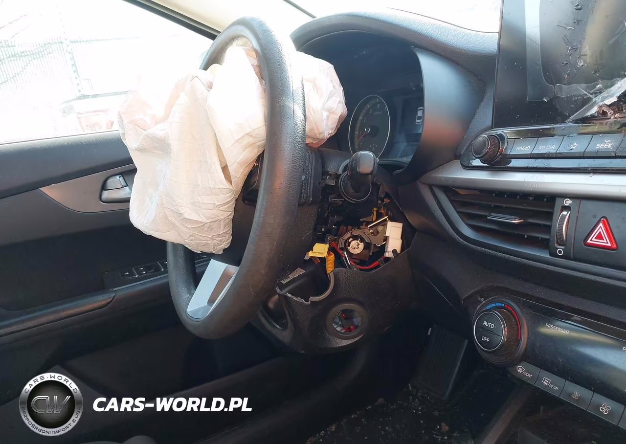 2019 Kia Forte Lxs VIN:3KPF24AD9KE030461 - 13