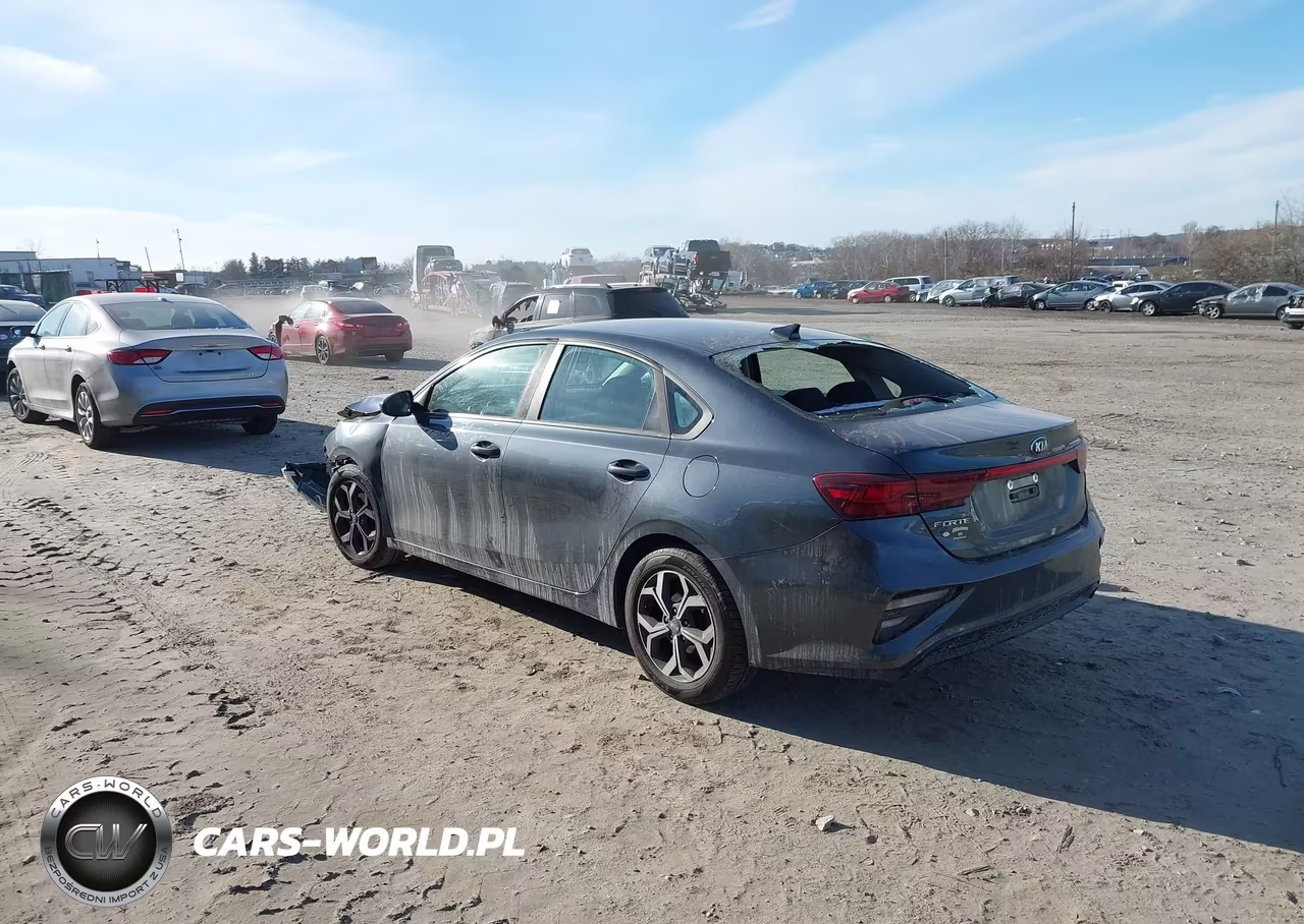 2019 Kia Forte Lxs VIN:3KPF24AD9KE030461 - 3