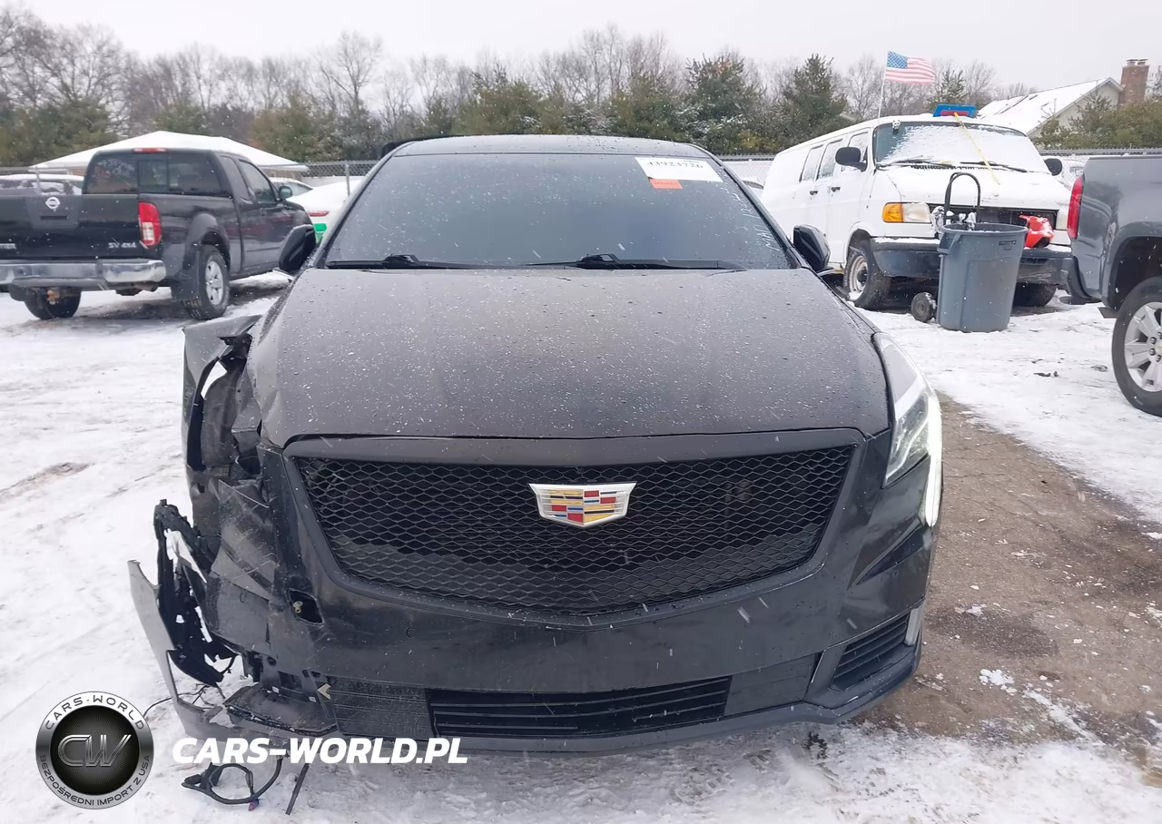 2019 Cadillac Xts Luxury VIN:2G61M5S37K9125621 - 12
