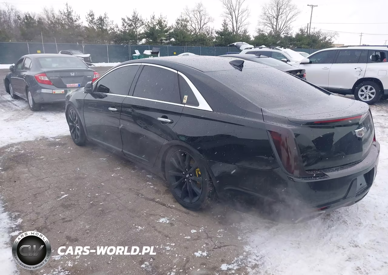 2019 Cadillac Xts Luxury VIN:2G61M5S37K9125621 - 3