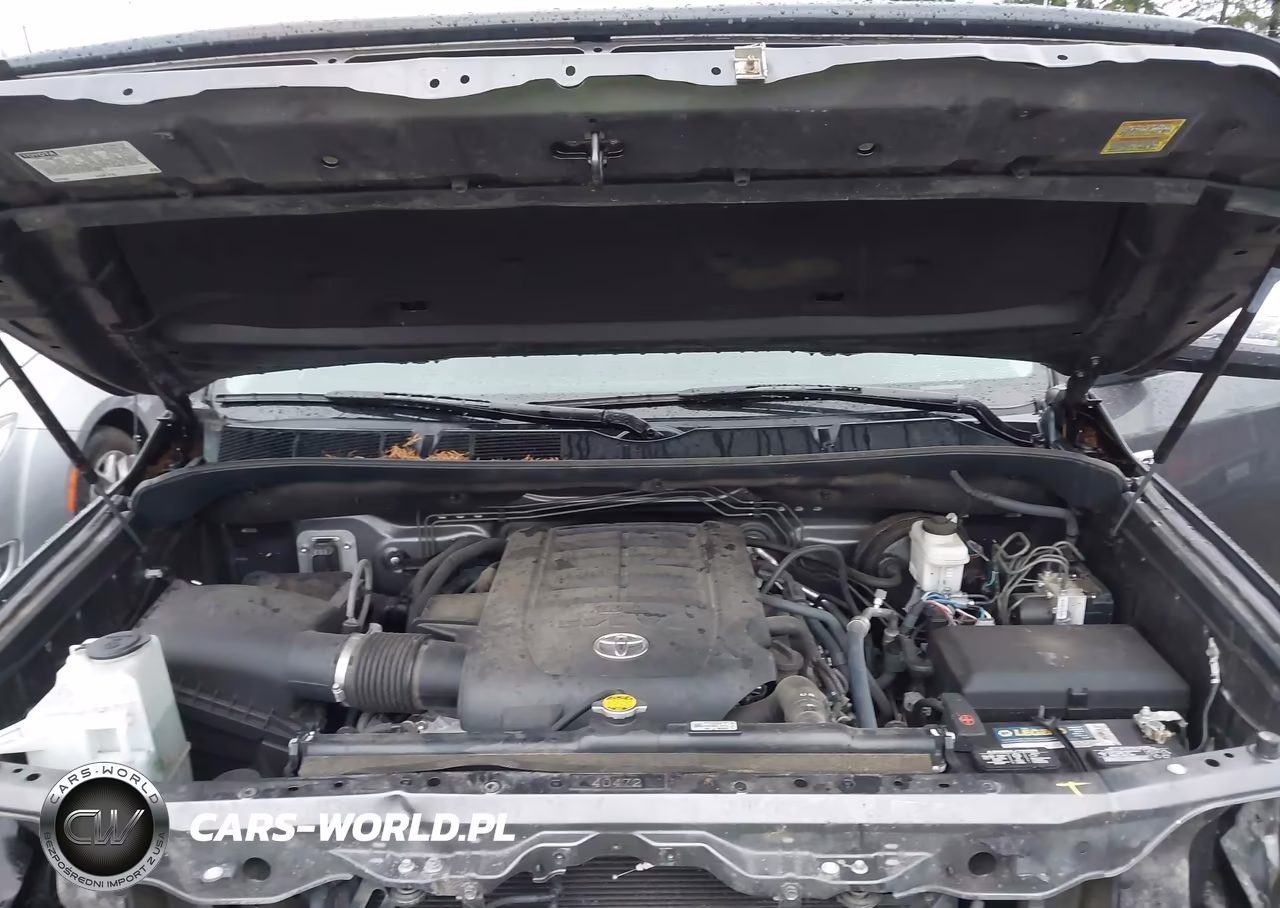 2016 Toyota Tundra Limited 5.7L V8 VIN:5TFBY5F1XGX498238 - 10