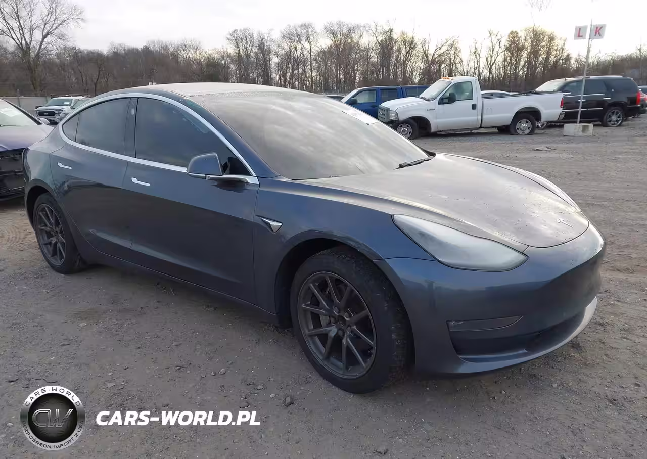 2019 Tesla Model 3 Long Range-Mid Range-Standard Range-Standard Range Plus