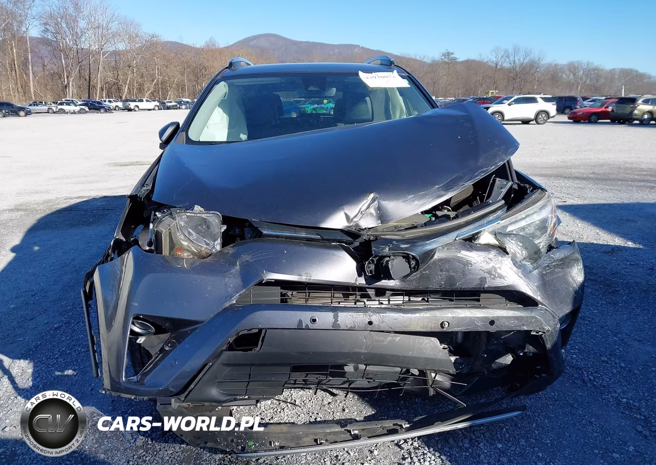 2018 Toyota Rav4 Limited VIN:JTMDFREV0JJ198387 - 13
