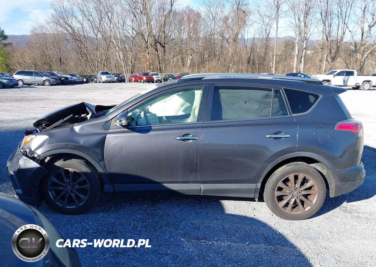 2018 Toyota Rav4 Limited VIN:JTMDFREV0JJ198387 - 15