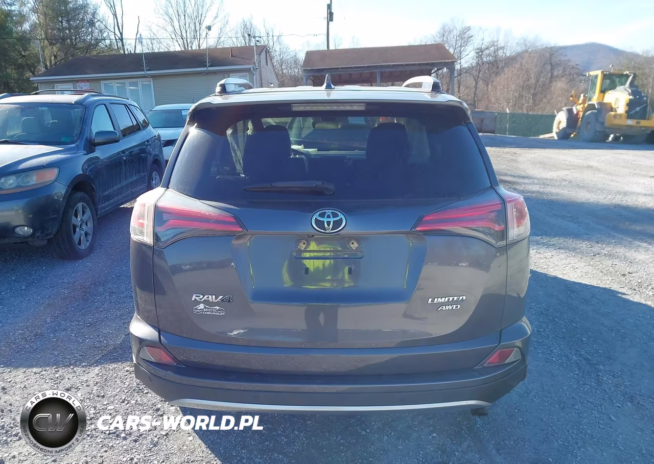 2018 Toyota Rav4 Limited VIN:JTMDFREV0JJ198387 - 17
