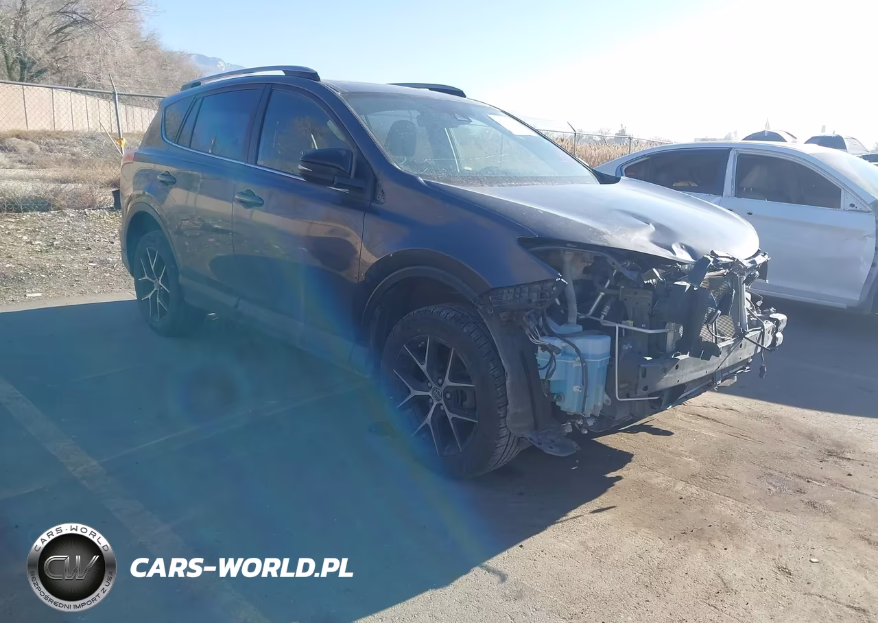 2018 Toyota Rav4 Se