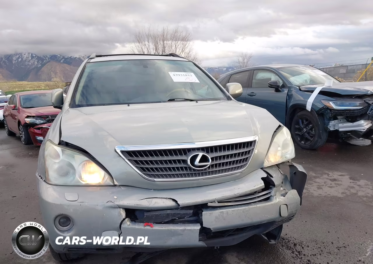 2007 Lexus Rx 400H VIN:JTJHW31U972031098 - 12