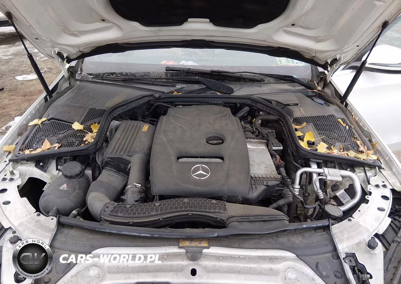 2018 Mercedes-Benz C 300 4Matic VIN:55SWF4KB8JU257228 - 10