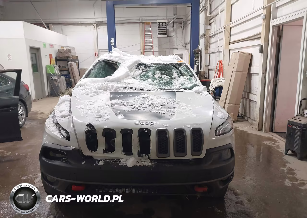 2016 Jeep Cherokee Trailhawk VIN:1C4PJMBB9GW316957 - 12
