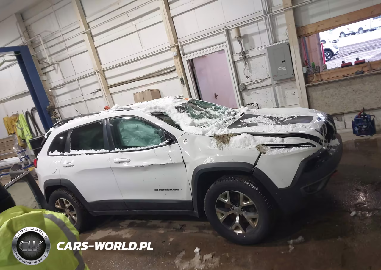 2016 Jeep Cherokee Trailhawk VIN:1C4PJMBB9GW316957 - 13