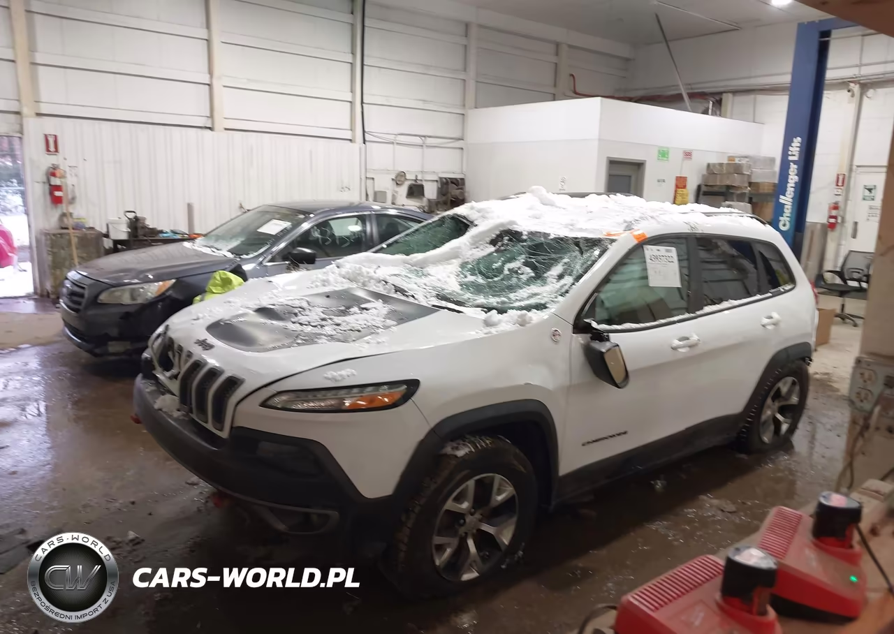 2016 Jeep Cherokee Trailhawk VIN:1C4PJMBB9GW316957 - 14