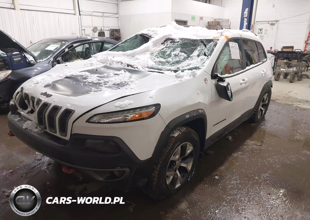 2016 Jeep Cherokee Trailhawk VIN:1C4PJMBB9GW316957 - 2