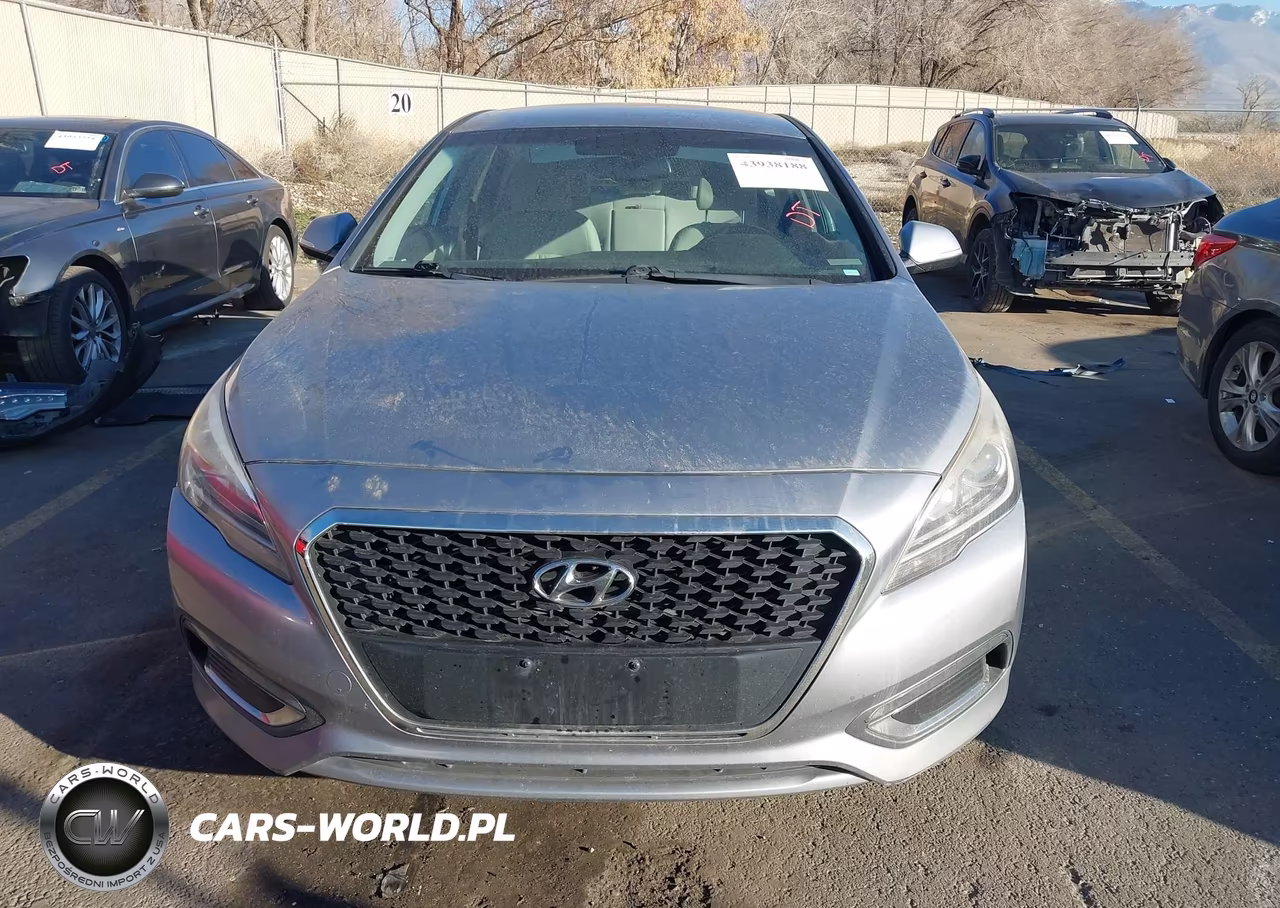 2016 Hyundai Sonata Hybrid Se VIN:KMHE24L17GA028325 - 12