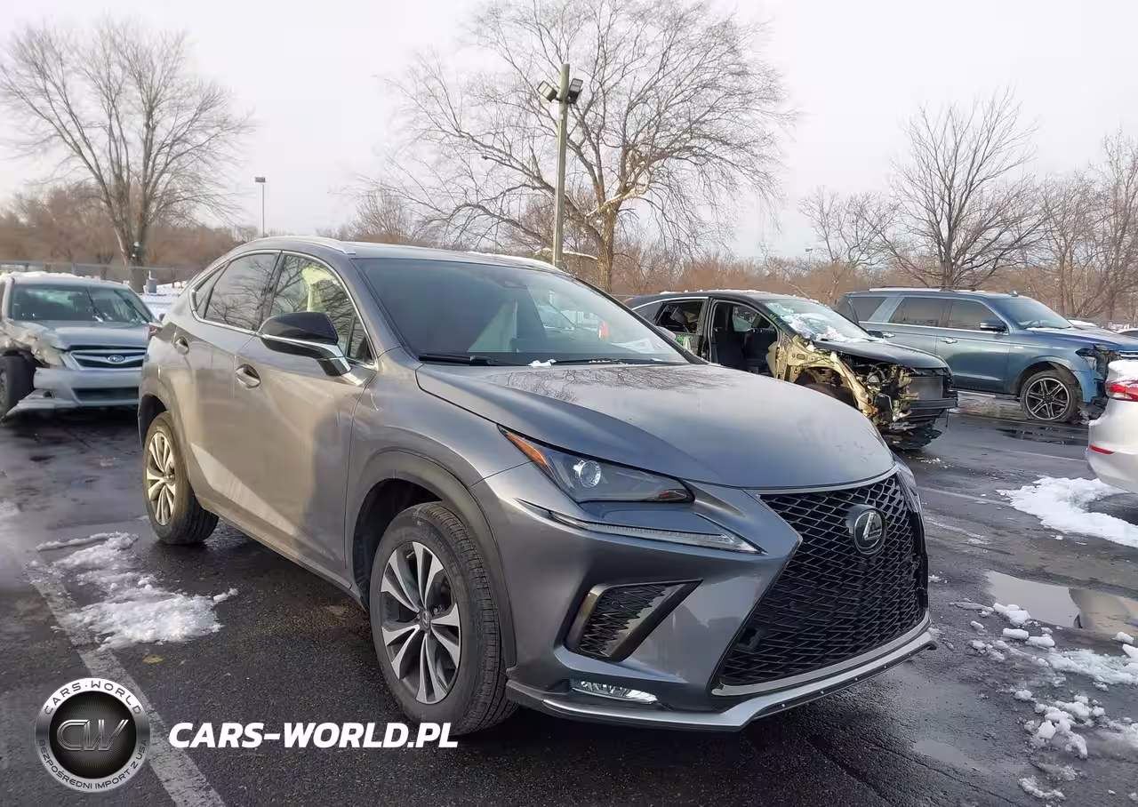 2021 Lexus Nx 300 F Sport