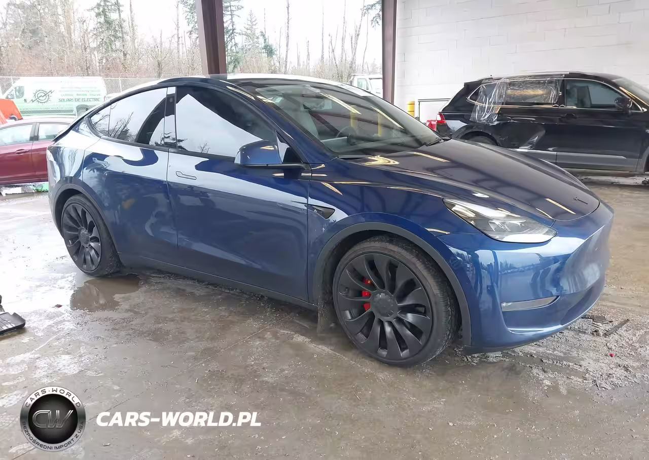 2022 Tesla Model Y Performance Dual Motor All-Wheel Drive