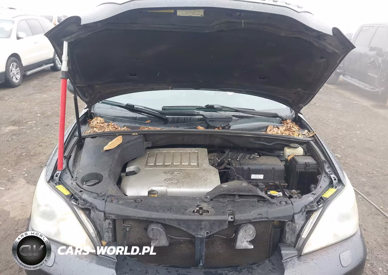 2009 Lexus Rx 350 VIN:2T2GK31U59C081491 - 10