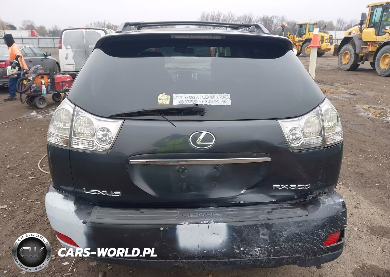 2009 Lexus Rx 350 VIN:2T2GK31U59C081491 - 16