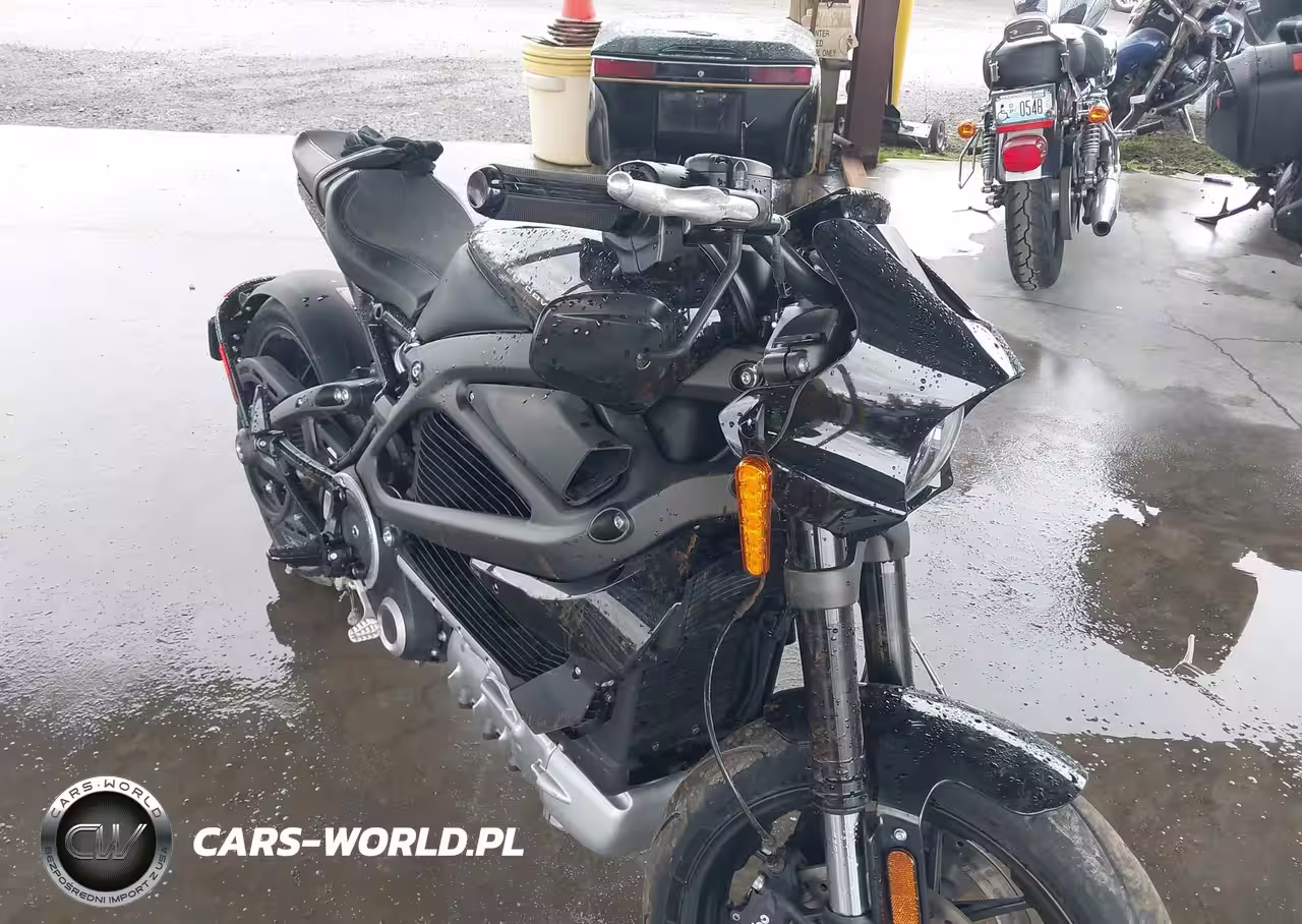 2020 Harley-Davidson Elw