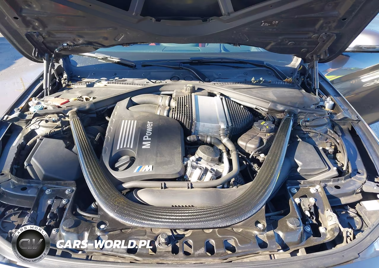 2016 BMW M4 VIN:WBS3R9C54GK708130 - 10
