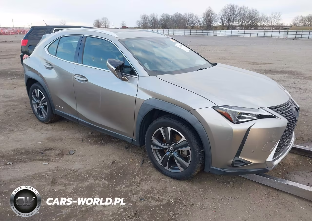 2020 Lexus Ux 250H