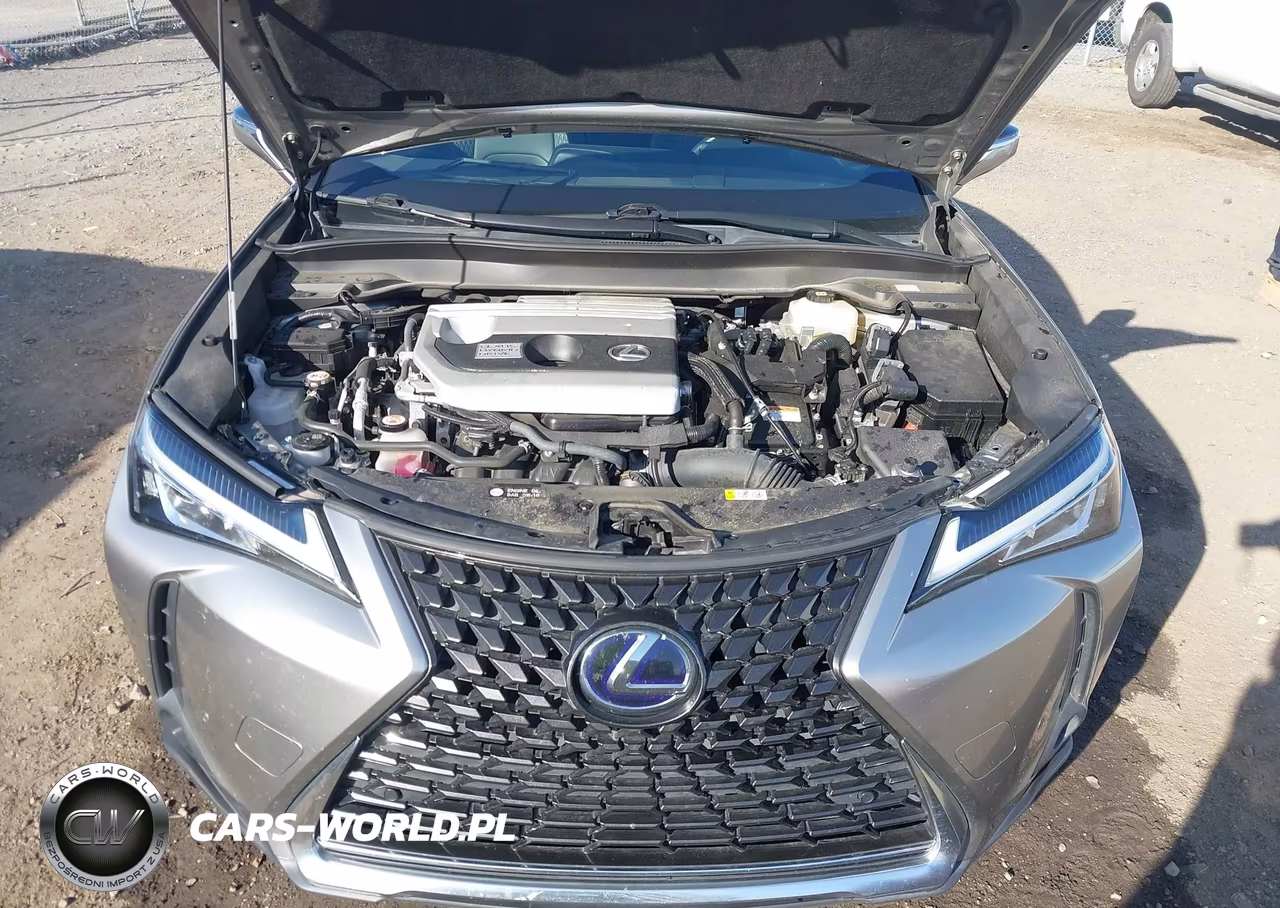 2020 Lexus Ux 250H VIN:JTHX9JBH7L2033971 - 10