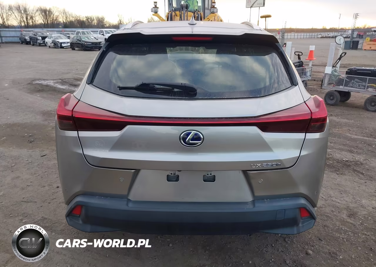 2020 Lexus Ux 250H VIN:JTHX9JBH7L2033971 - 16