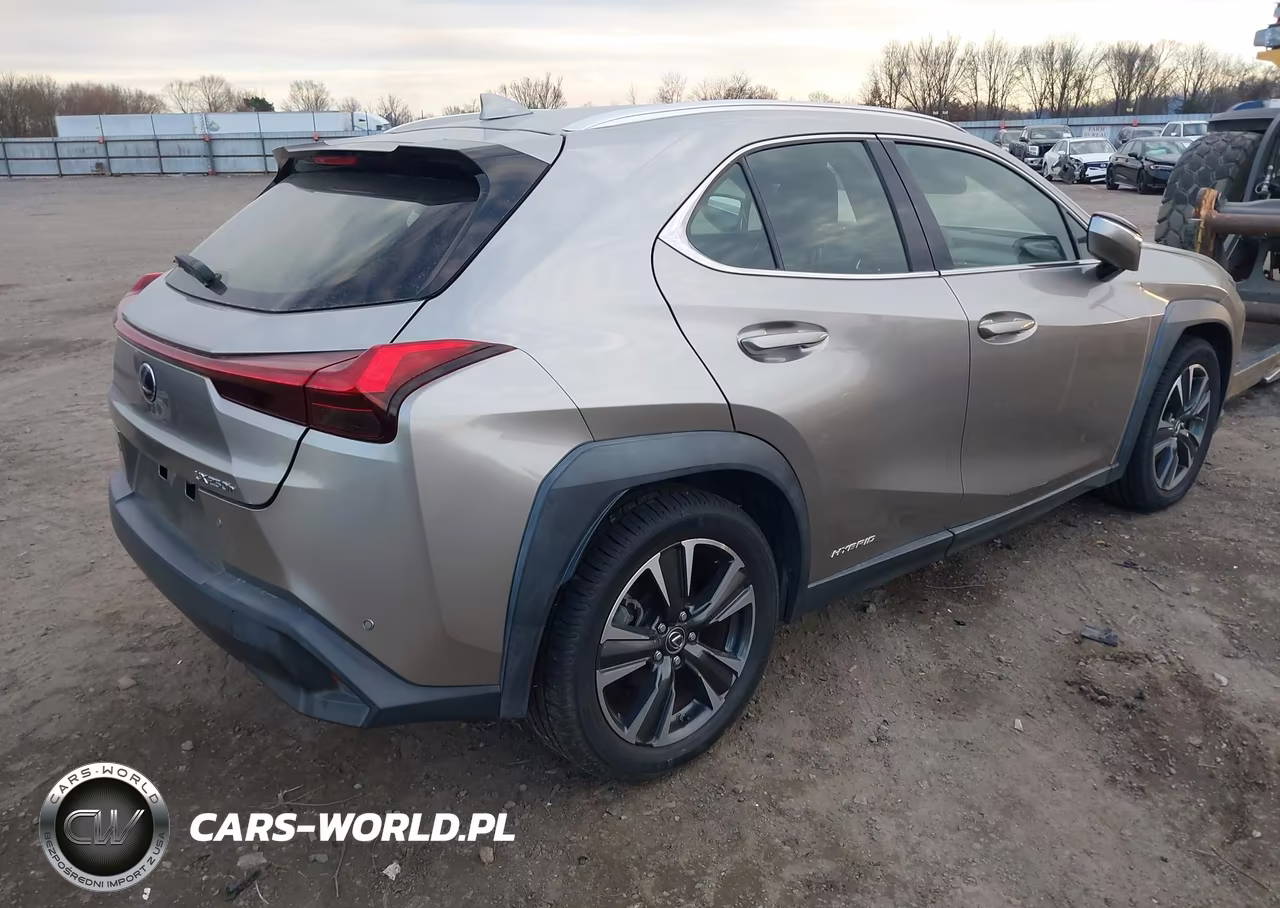 2020 Lexus Ux 250H VIN:JTHX9JBH7L2033971 - 4