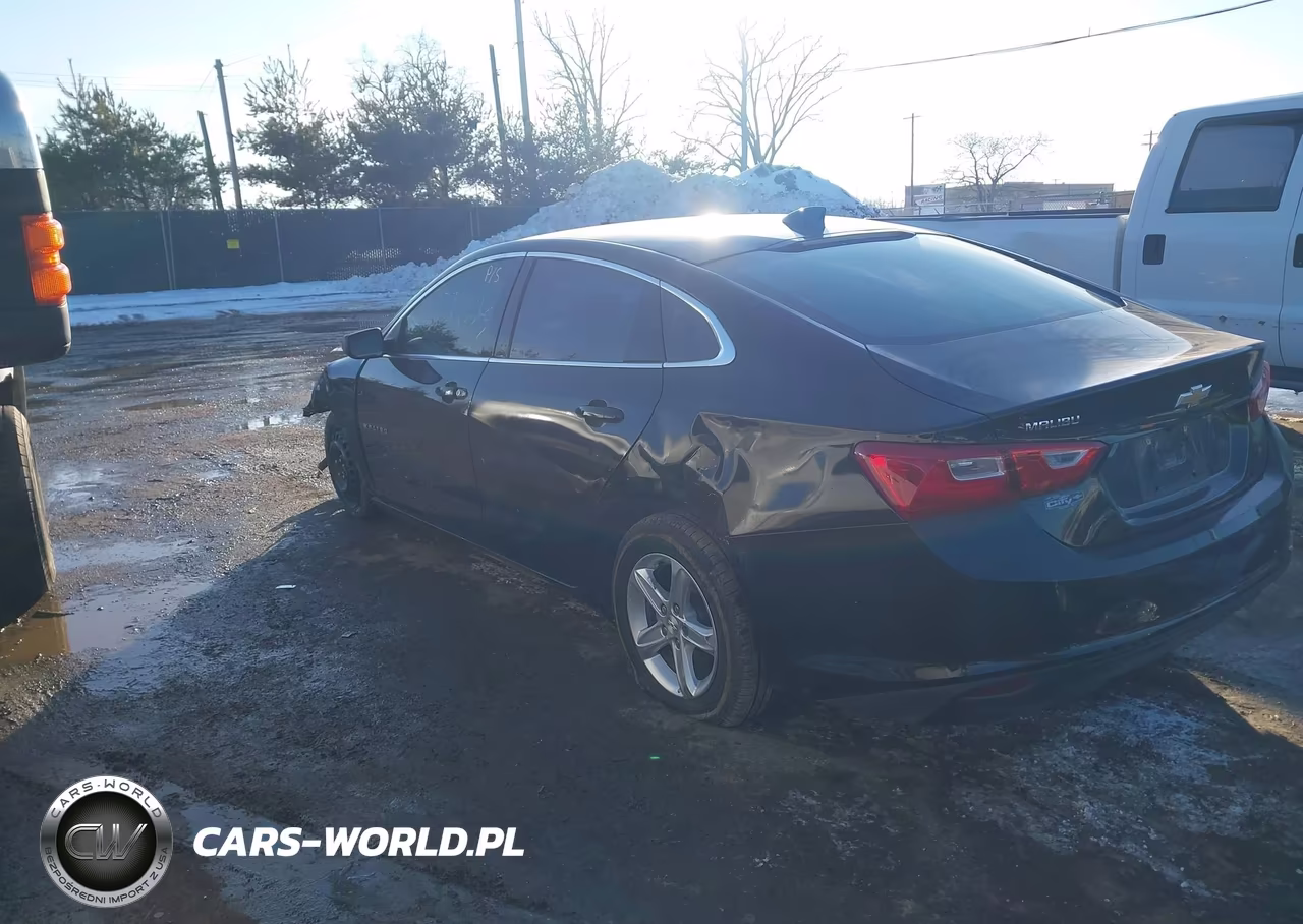 2023 Chevrolet Malibu Fwd Ls VIN:1G1ZB5ST8PF203112 - 3