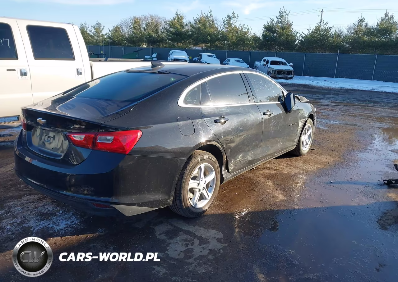2023 Chevrolet Malibu Fwd Ls VIN:1G1ZB5ST8PF203112 - 4