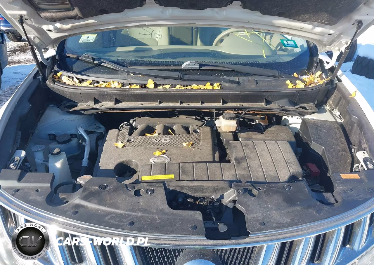 2010 NISSAN MURANO S VIN:JN8AZ1MW9AW138721 - 10