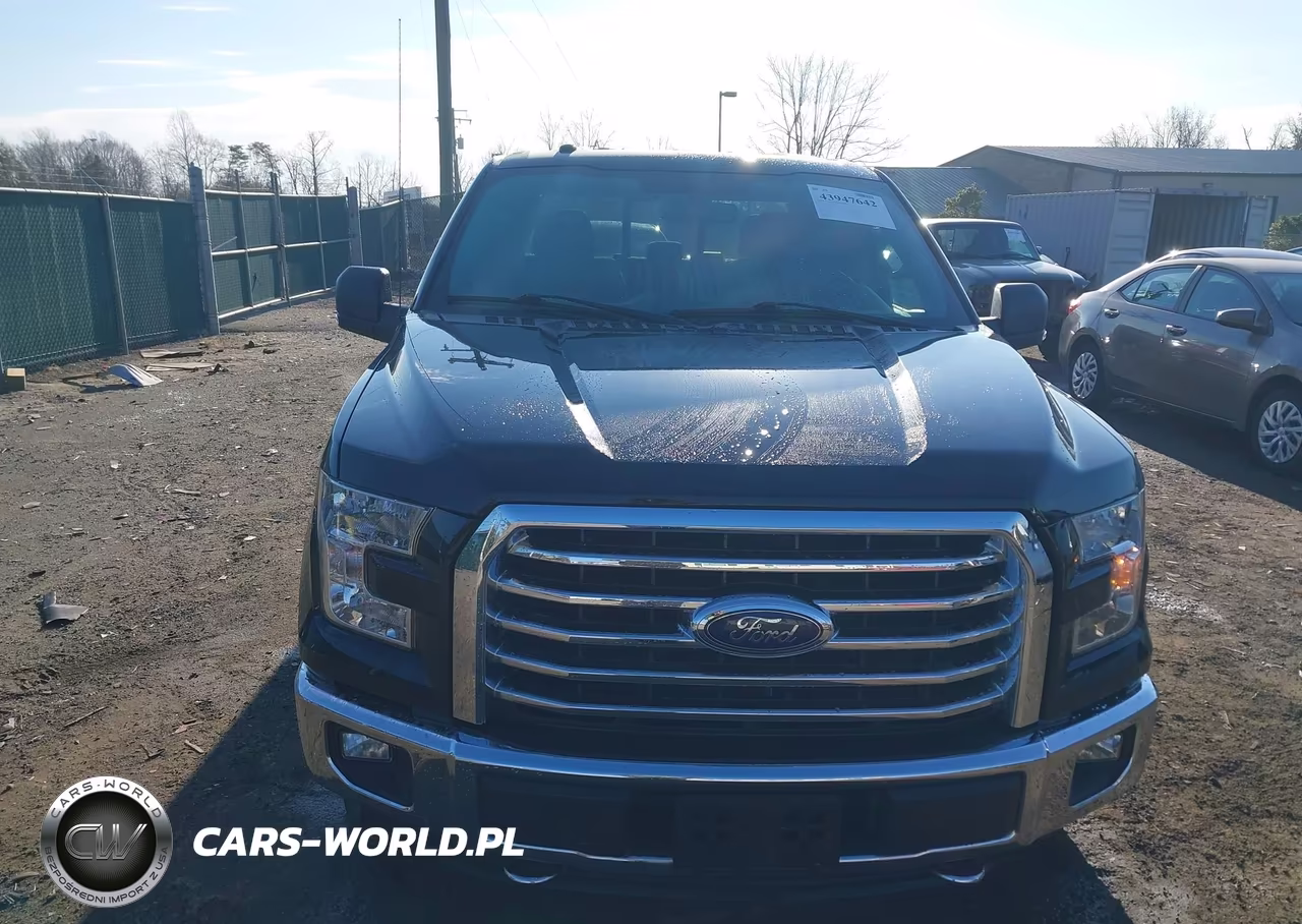 2016 Ford F-150 Xlt VIN:1FTFX1EG3GFD09616 - 12