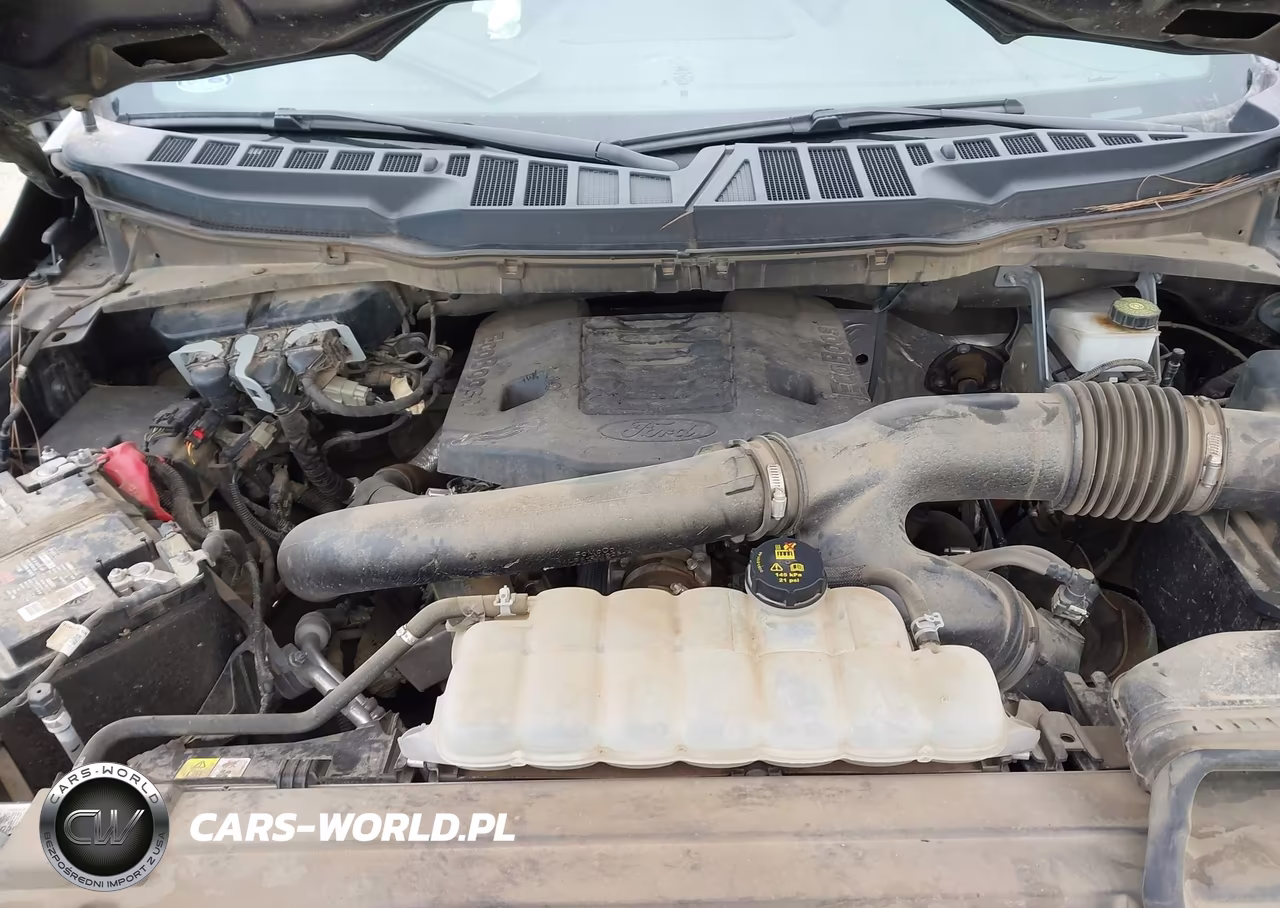 2022 Ford F150 Supercrew VIN:1FTFW1E86NKD77862 - 10