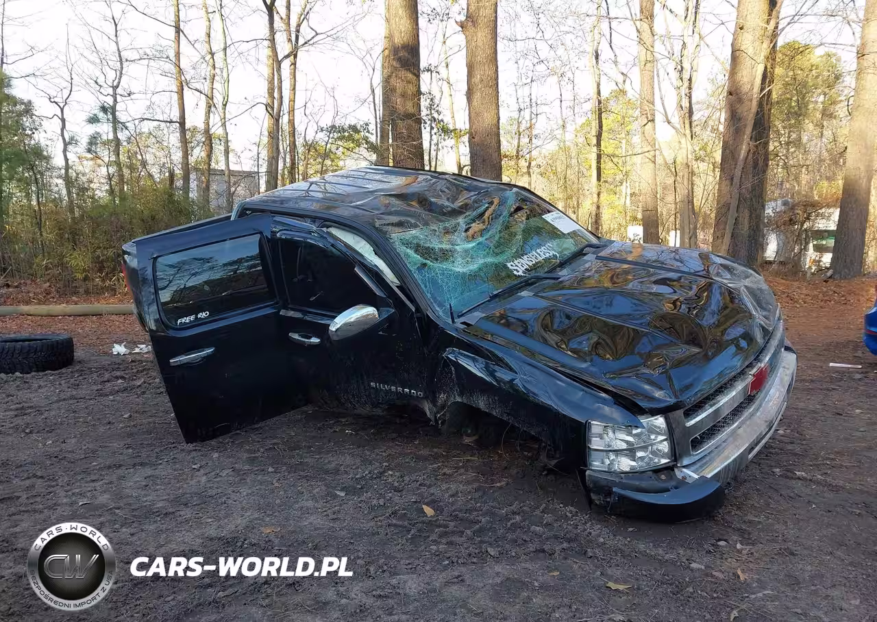 2010 Chevrolet Silverado 1500 Lt