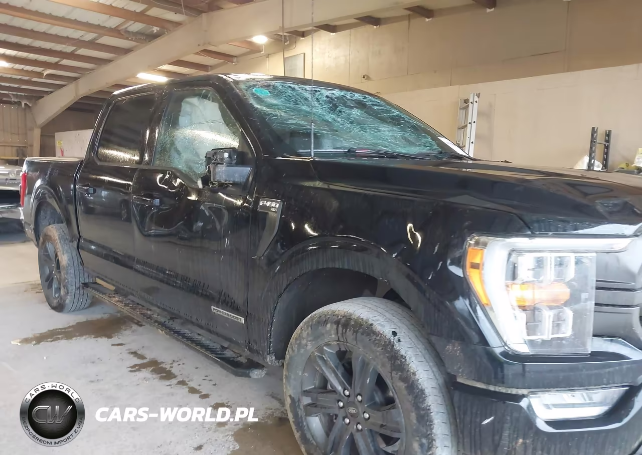 2023 Ford F-150 Xlt – zdjęcie 1 z 11
