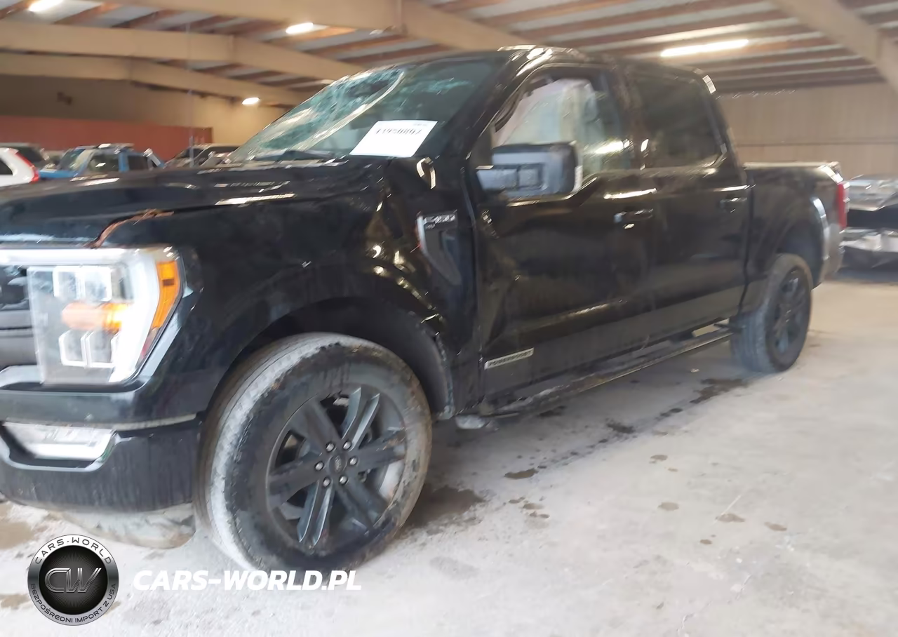 2023 Ford F-150 Xlt VIN:1FTFW1ED9PFC45381 - 2