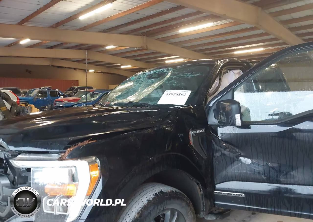 2023 Ford F-150 Xlt VIN:1FTFW1ED9PFC45381 - 6