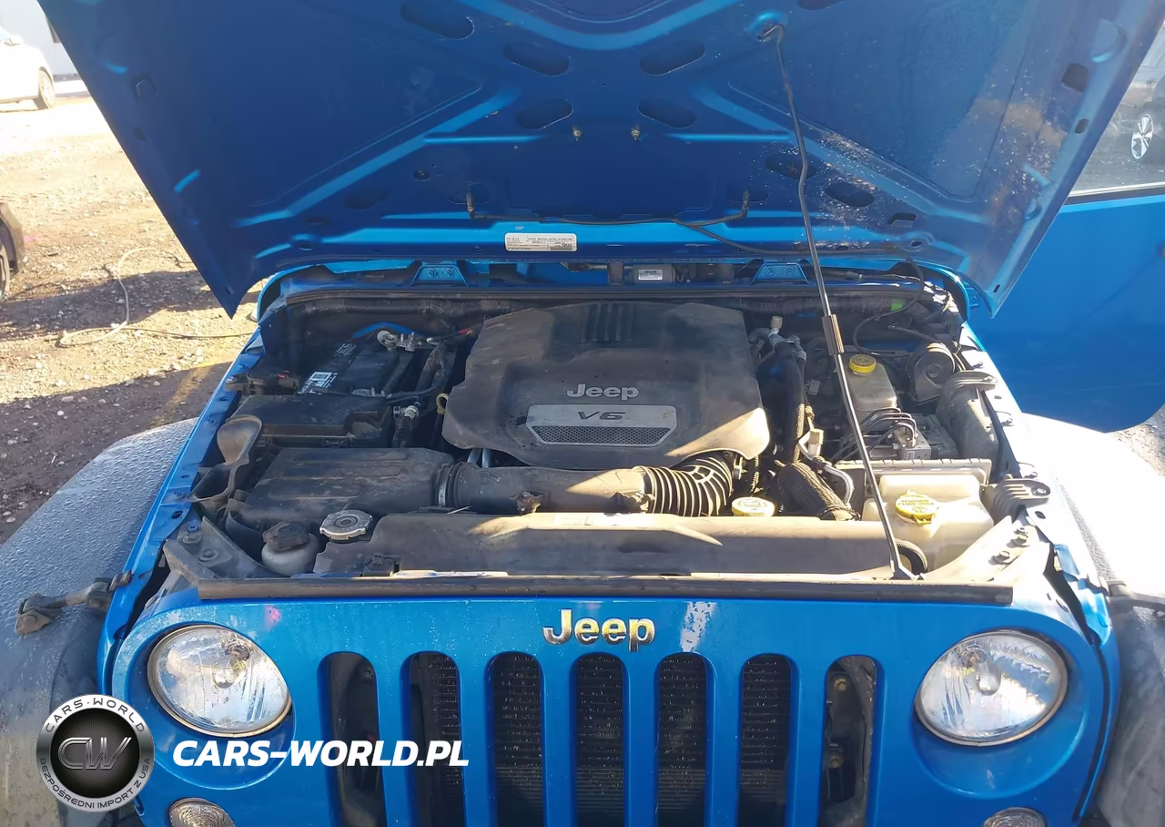 2016 Jeep Wrangler Unlimited Sport VIN:1C4BJWDG4GL307017 - 10
