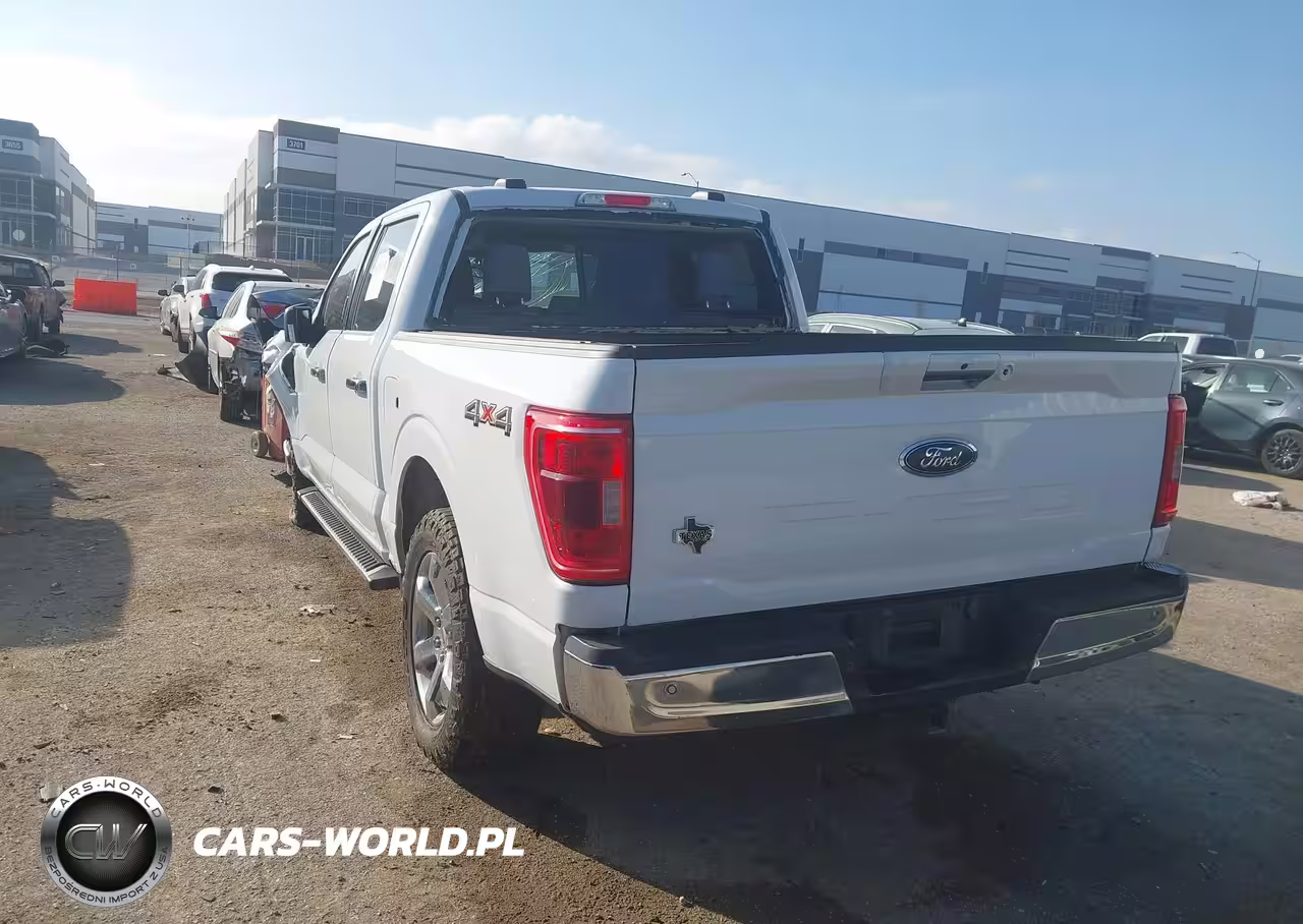 2023 Ford F-150 Xlt VIN:1FTFW1E55PKD96864 - 3