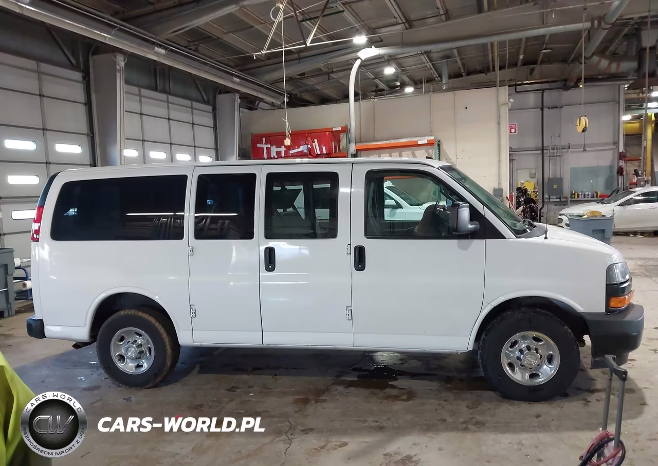 2019 Chevrolet Express 2500 Ls VIN:1GAWGEFG6K1336295 - 13
