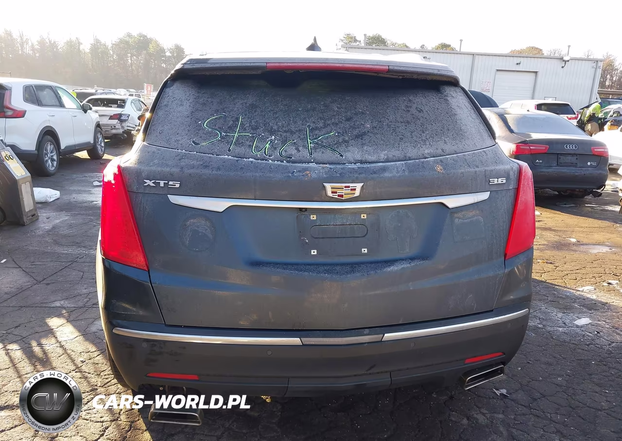 2019 Cadillac Xt5 Luxury VIN:1GYKNCRS6KZ300943 - 16