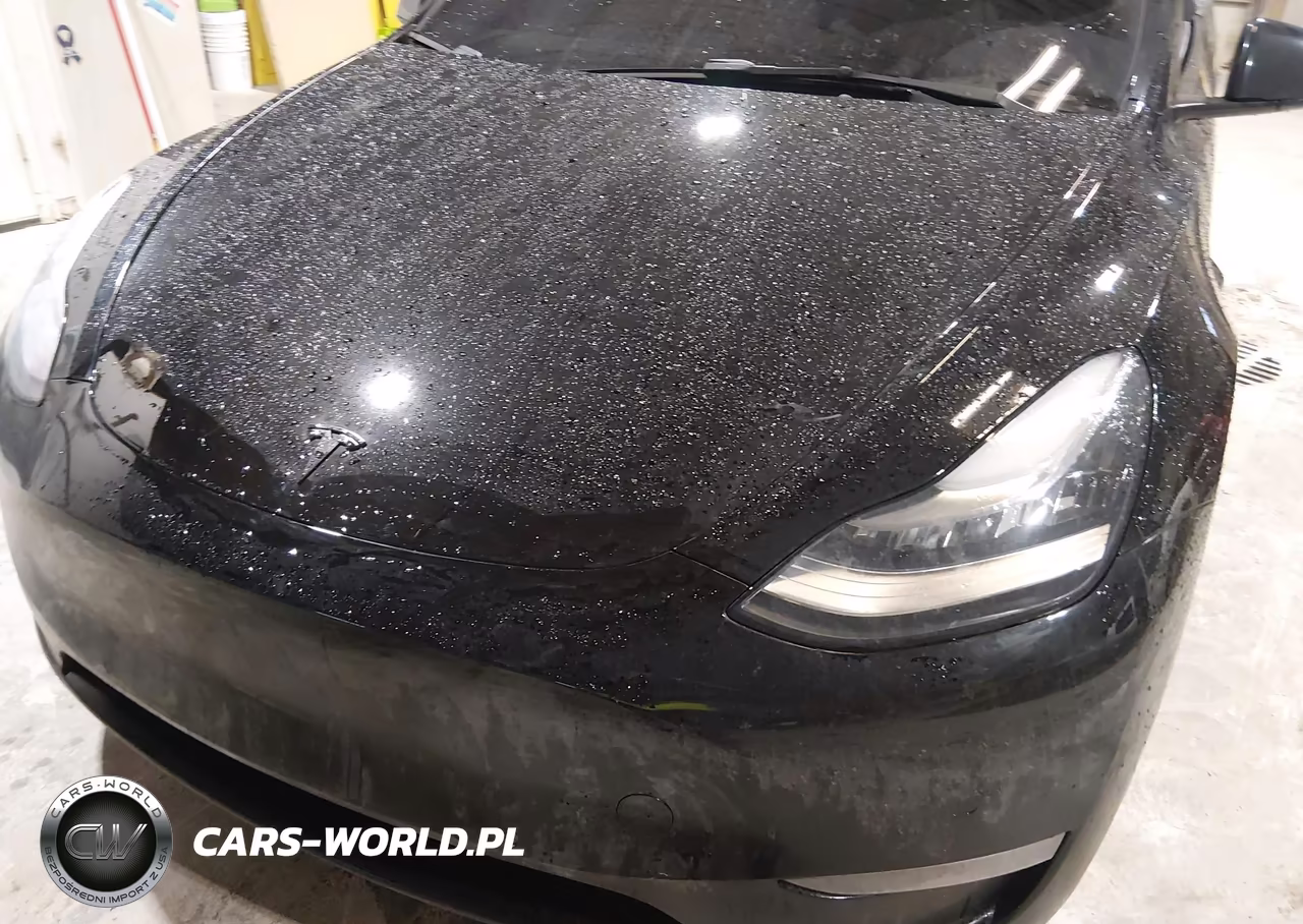 2021 Tesla Model Y Long Range Dual Motor All-Wheel Drive VIN:5YJYGDEE0MF268080 - 10