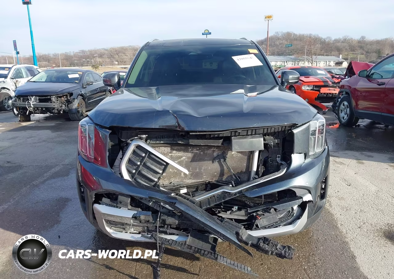 2023 Kia Telluride Sx VIN:5XYP5DGCXPG355205 - 12